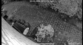 IMG_8565.jpeg IMG_8565.jpeg