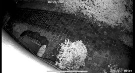 IMG_8570.jpeg IMG_8570.jpeg