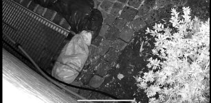 IMG_8568.jpeg IMG_8568.jpeg