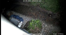 IMG_8571.jpeg IMG_8571.jpeg