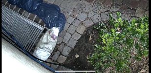 IMG_8572.jpeg IMG_8572.jpeg