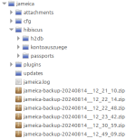 Jameica_Backup_Datei.png Jameica_Backup_Datei.png