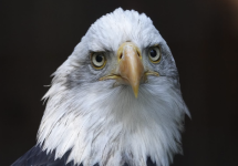 1729241531473.png 1729241531473.png