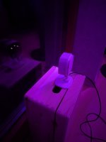 PXL_20250215_173639414.RAW-01.MP.COVER.jpg PXL_20250215_173639414.RAW-01.MP.COVER.jpg