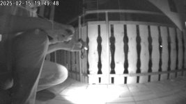 1739641789341.jpg 1739641789341.jpg