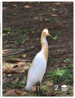 1745480552245.png 1745480552245.png