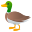 🦆